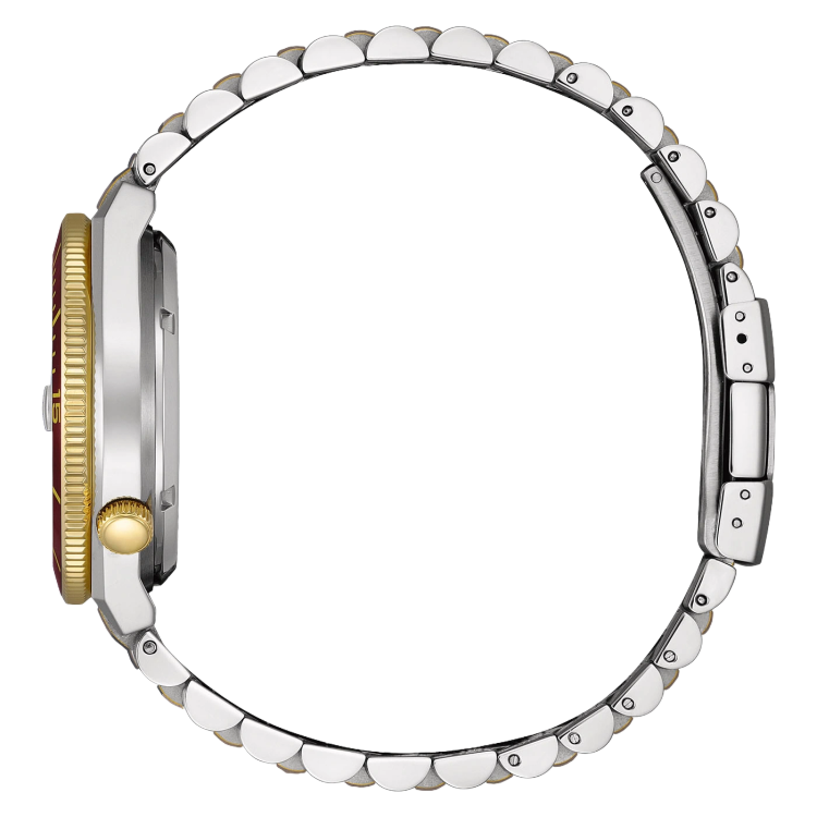 ساعت مچی مردانه سیتیزن CITIZEN NJ0234-58X